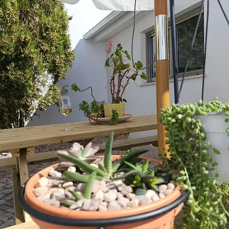 Quintal Do Olival- Um Refugio Na Natureza Lousã