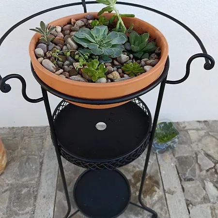 Quintal Do Olival- Um Refugio Na Natureza * Луса