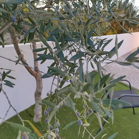 Дом отдыха Quintal Do Olival- Um Refugio Na Natureza Луса