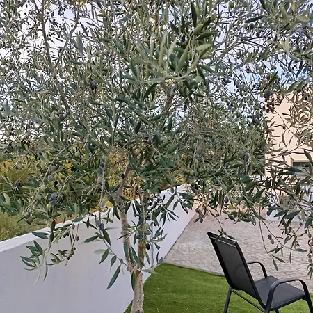 Hébergement de vacances Quintal Do Olival- Um Refugio Na Natureza