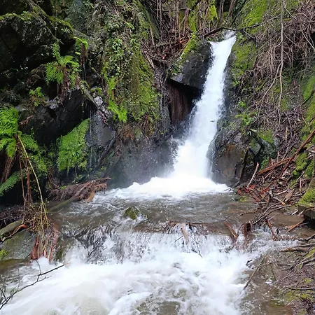 Hébergement de vacances Quintal Do Olival- Um Refugio Na Natureza *