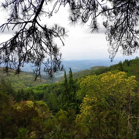 Quintal Do Olival- Um Refugio Na Natureza 펜션 로우사