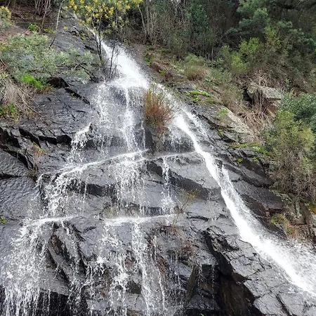 Quintal Do Olival- Um Refugio Na Natureza Lousã