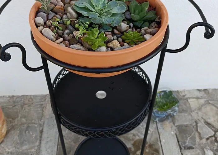 Quintal Do Olival- Um Refugio Na Natureza * Lousã