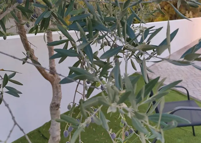 Casa de Férias Quintal Do Olival- Um Refugio Na Natureza Lousã