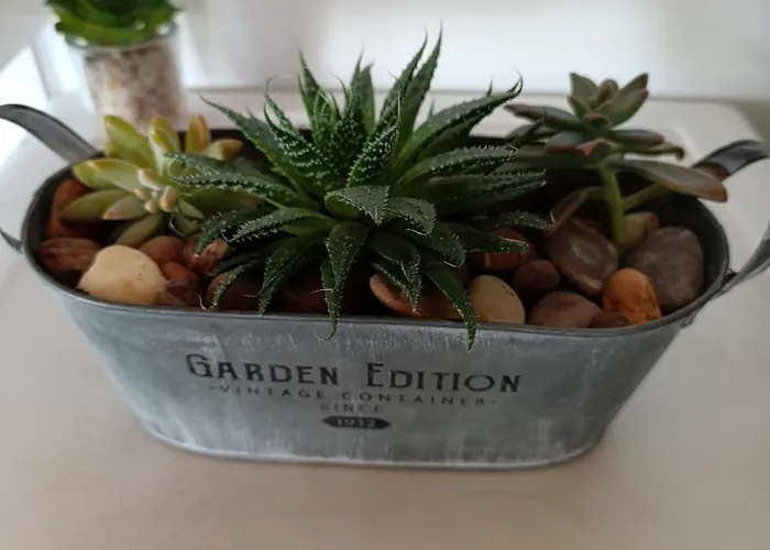 Quintal Do Olival- Um Refugio Na Natureza * Lousã