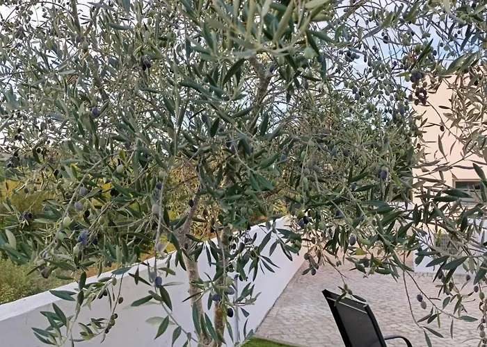 Casa de Férias Quintal Do Olival- Um Refugio Na Natureza