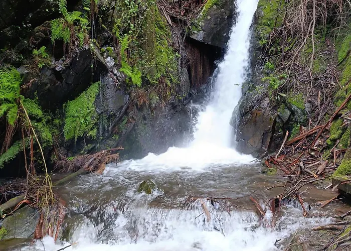 Casa de Férias Quintal Do Olival- Um Refugio Na Natureza *