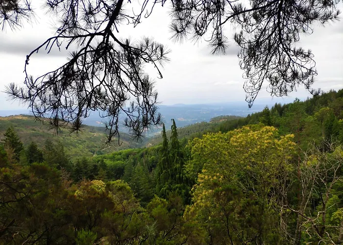 Quintal Do Olival- Um Refugio Na Natureza Casa de Férias Lousã