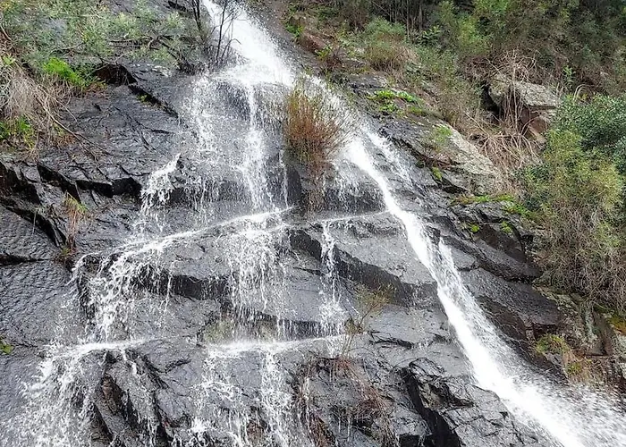 Quintal Do Olival- Um Refugio Na Natureza Lousã